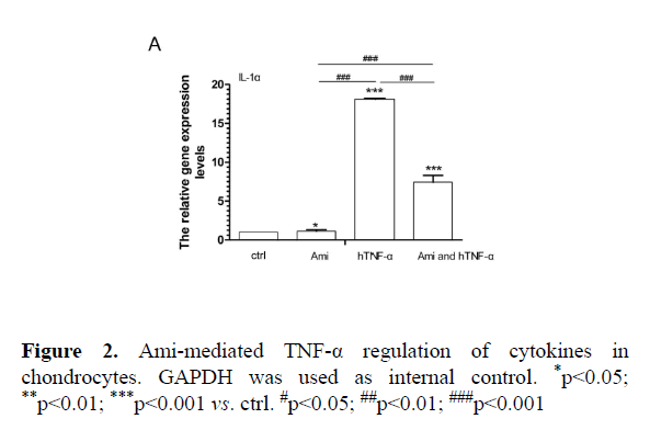 biomedical-pharmaceutical-Ami-mediated