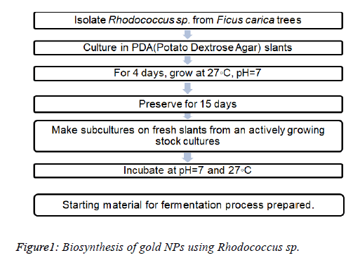 biomedical-pharmaceutical-Biosynthesis-gold