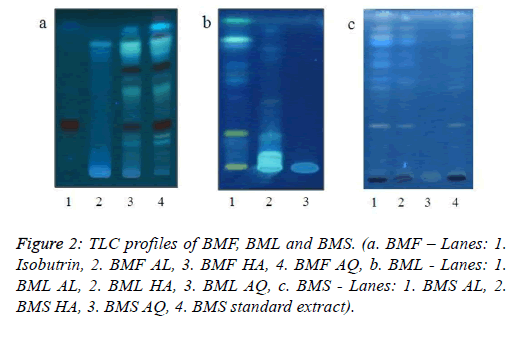 biomedical-pharmaceutical-Isobutrin-Lanes