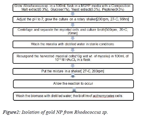 biomedical-pharmaceutical-Isolation-gold