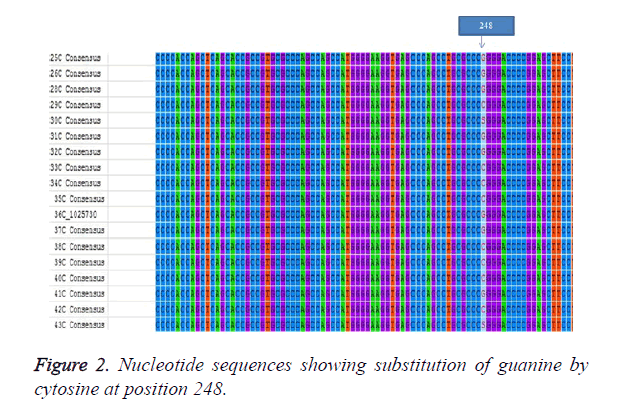 biomedical-pharmaceutical-Nucleotide-sequences