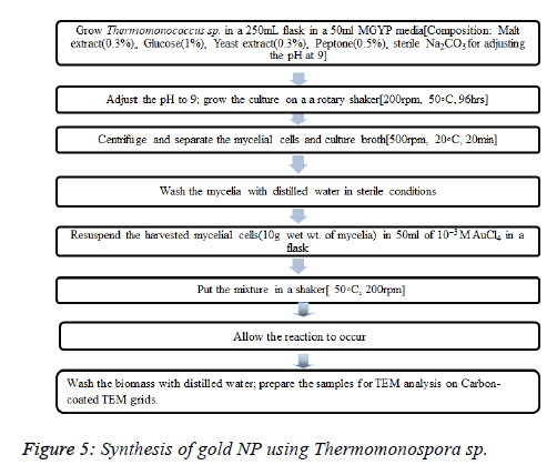 biomedical-pharmaceutical-Synthesis-cells