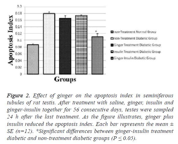 biomedical-pharmaceutical-apoptosis-index