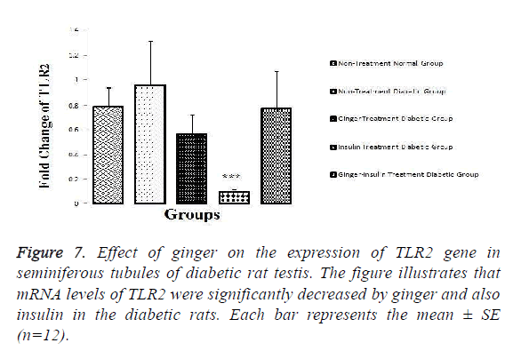 biomedical-pharmaceutical-diabetic-rats