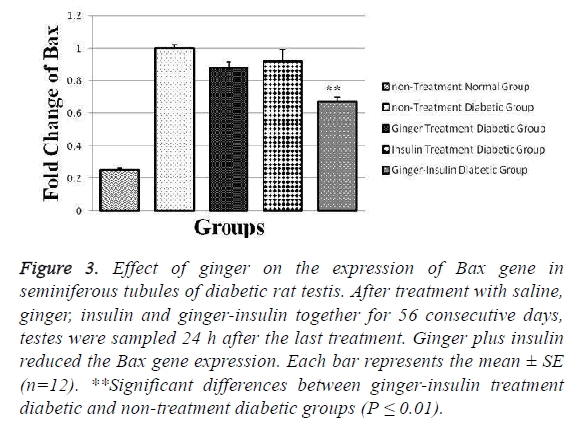 biomedical-pharmaceutical-ginger-insulin