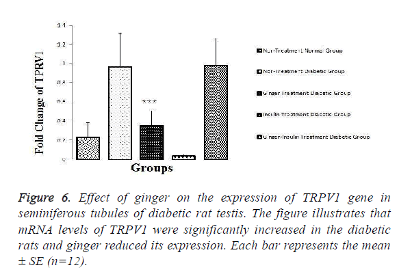 biomedical-pharmaceutical-mRNA-levels