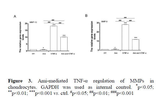 biomedical-pharmaceutical-regulation-MMPs