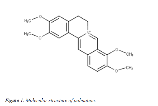 biomedical-pharmaceutical-structure-palmatine