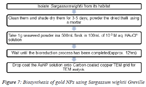 biomedical-pharmaceutical-wightii-Greville