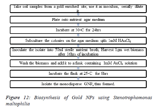 biomedical-pharmaceutical-wightii-Greville